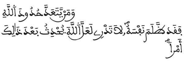 [الطلاق: 1]