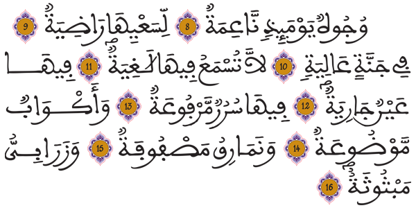[الغاشية: 8 - 16]