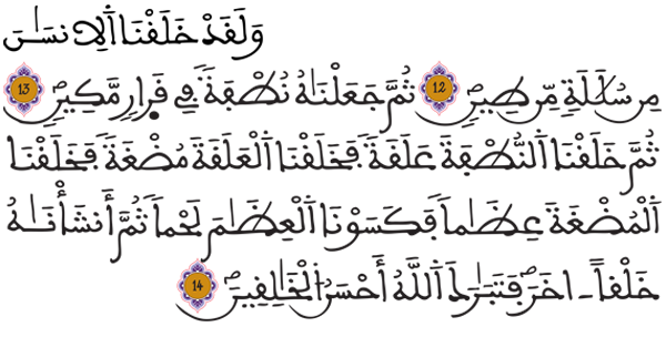 [المؤمنون: 14/13/12]