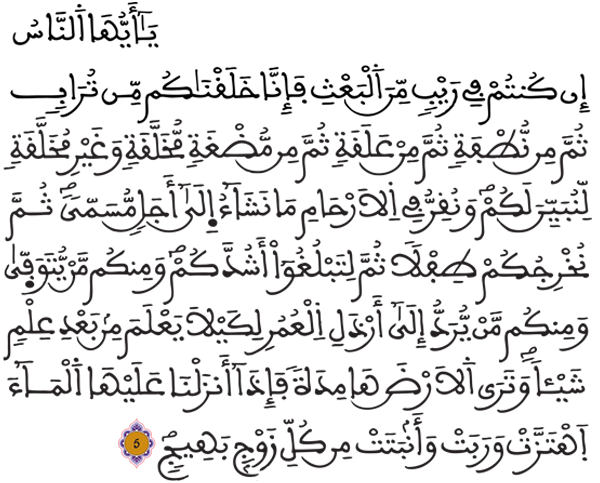 [الحج: 5]