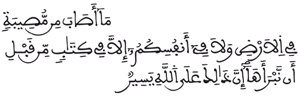 [الحديد: 21]
