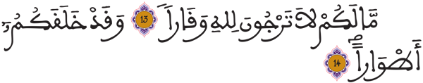 [نوح:13 - 14]