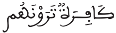  [آلُ عِمْرَانَ الآيَةُ 13] 