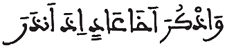 [الْأَحْقَافُ الآيَةُ 20]