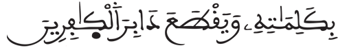 [الْأَنفَالُ الآيَةُ 7]