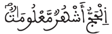 [الْبَقَرَةُ الآيَةُ 196]