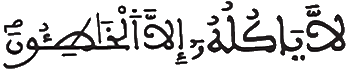 [الْحَاقَّةِ الآيَةُ 37]