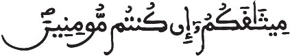 الحديد 8