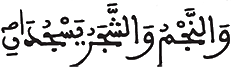 [الرَّحْمَنُ الآيَةُ 4]