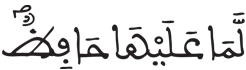 [الطَّارِقُ الآيَةُ 4] 