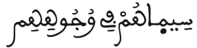 [الْفَتْحُ الآيَةُ 29]