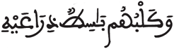 [الْكَهْفُ الآيَةُ 18]
