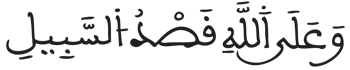 [النَّحْلُ الآيَةُ 9]