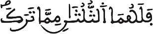 [النِّسَاءُ الآيَةُ 175]
