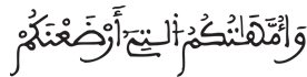 [النِّسَاءُ الآيَةُ 23]