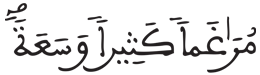 [النِّسَاءُ الآيَةُ 99]