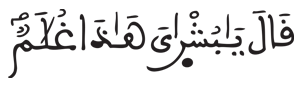 [يُوسُفُ الآيَةُ 19]