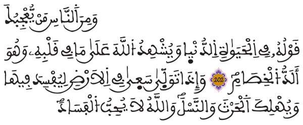 [البقرة: 202-203] 