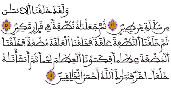  [المؤمنون:12-14]