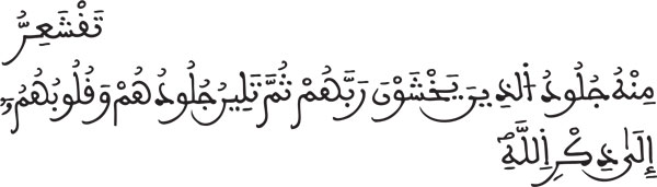 الزمر: 22