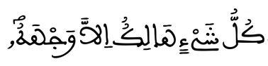 [القصص:88]