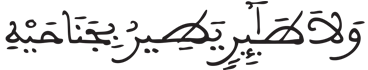  [الأنعامُ الآيَةُ 39]