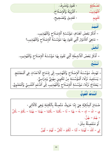 ikerae 11 la suite w