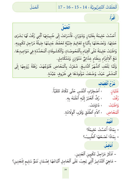 ikerae 14.pngw