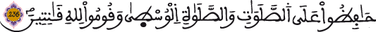 albakara aya 236