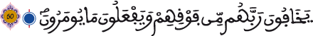 annahl al aya 50