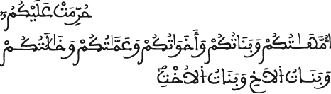 annisaa al aya 2 23