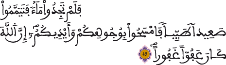 annissa al aya 43 3