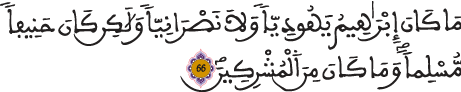 آل عمران 66