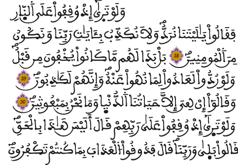الأنعام 28 31