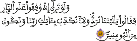 الأنعام 28