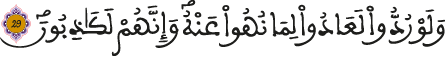 الأنعام 29