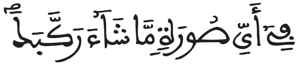 الانفطار 8 