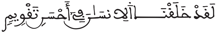 التين 4