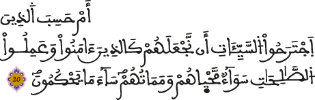 الجاثية 20