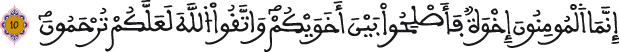 الحجرات 10