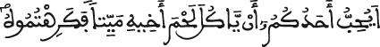 الحجرات 12 7