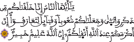 الحجرات 13