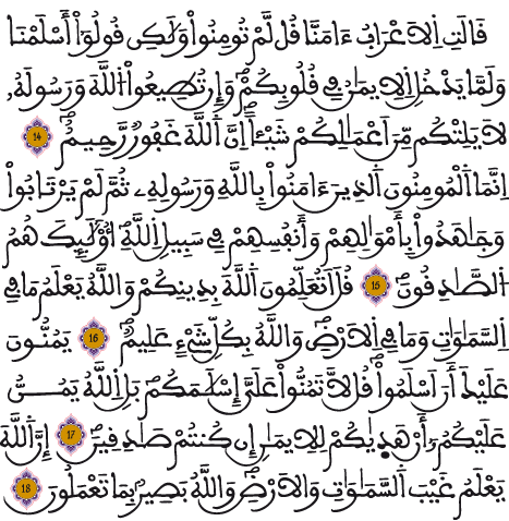 الحجرات 14 18