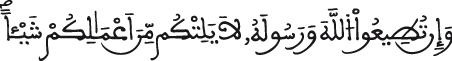 الحجرات 14 4