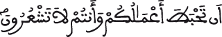 الحجرات 2 3