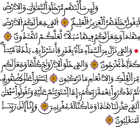 الزخرق 8 12