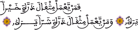 الزلزلة 8 9