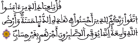 الزمر 11 2