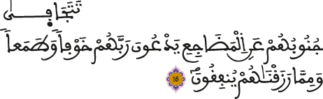 السجدة 16