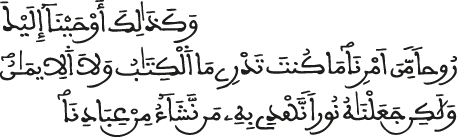 الشورى 49